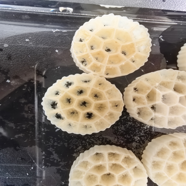 Was sind die wichtigsten Merkmale, auf die man bei biologischen Filtermedien achten sollte?