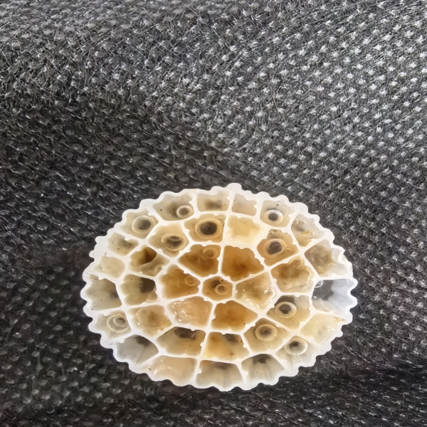 Wo man die effektivsten Biofiltermedienlösungen findet
