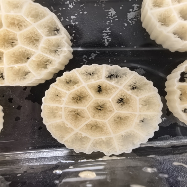 Häufige Missverständnisse über Biofiltermedien widerlegt