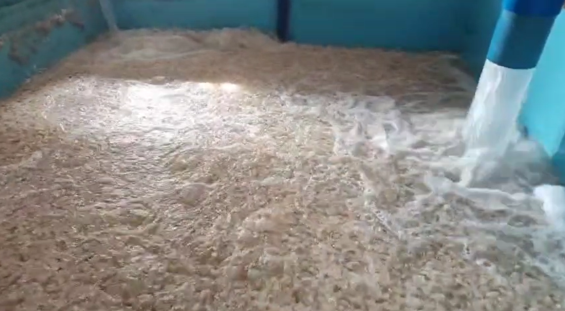 synergy between mbbr media biofilm process the golden combination for wastewater treatment