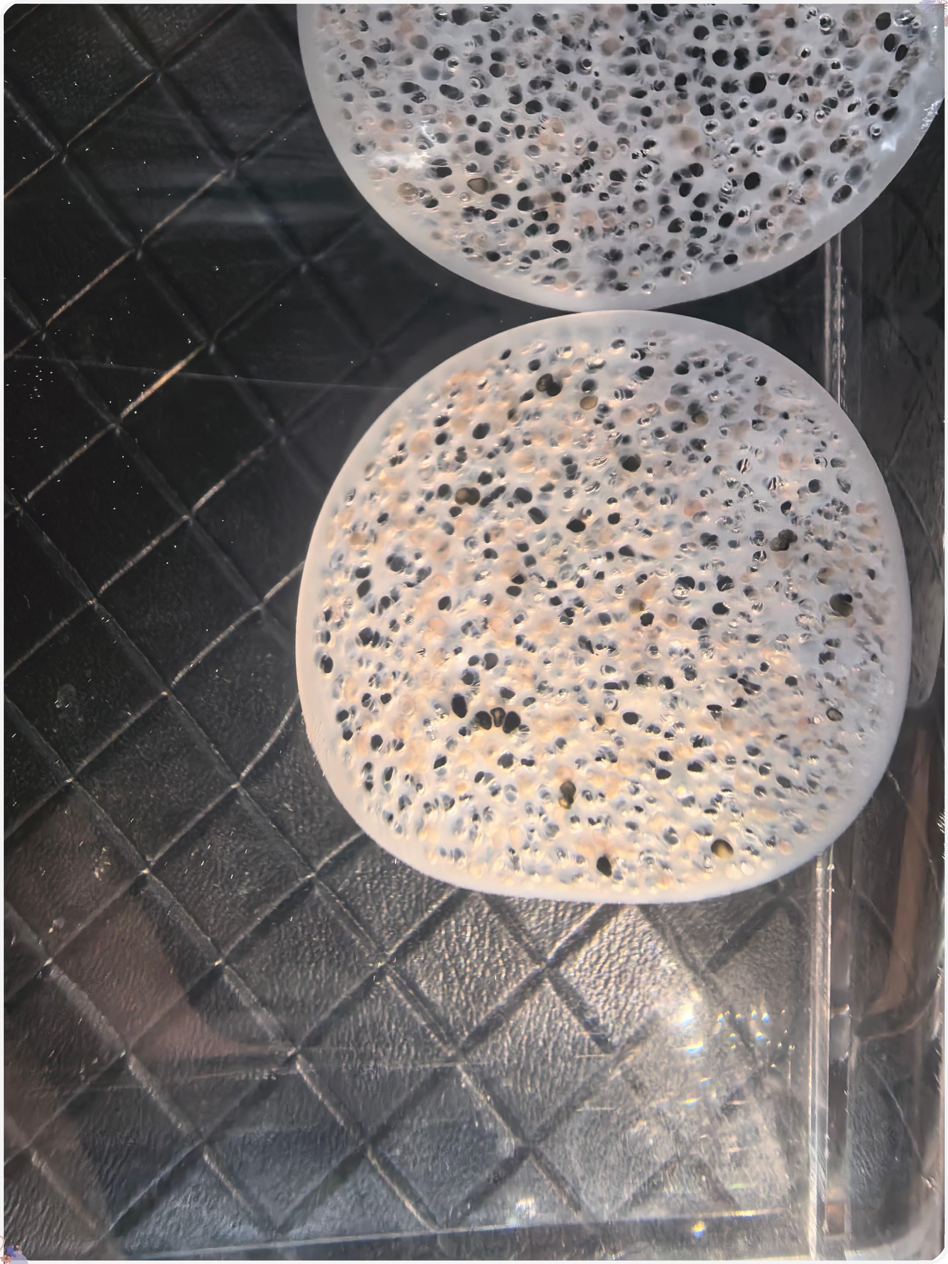 Common Applications of MBBR Media in Industrial Wastewater